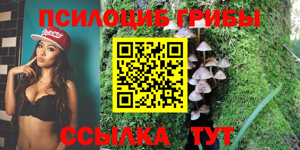 Псилоцибиновые грибы Magic Shrooms Муравленко