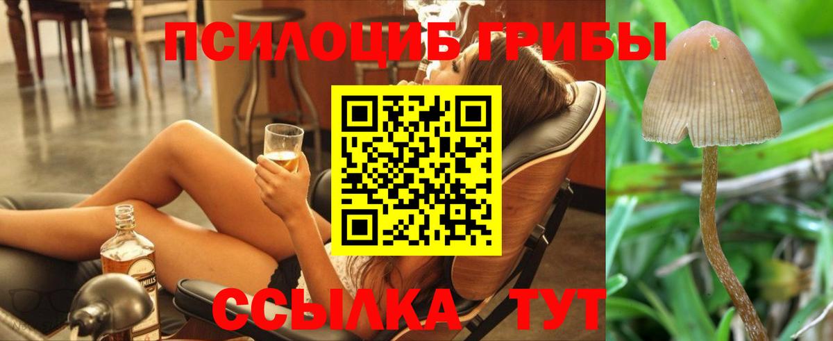 НБОМе Муравленко